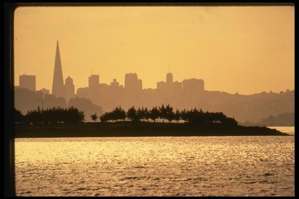 048005 San Francisco Skyline With Marina Trees A4 Photo Print