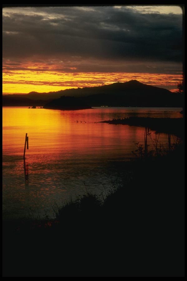 048027 Marin Sunset A4 Photo Print