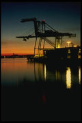 048042 Crane At Sunset Oakland A4 Photo Print