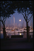 048045 Harbor At Night Marina Bay A4 Photo Print