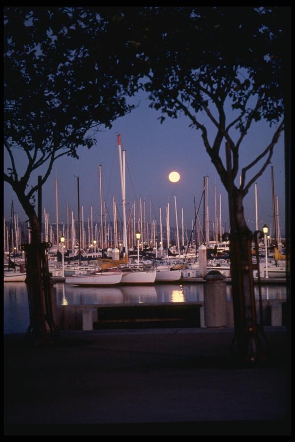 048045 Harbor At Night Marina Bay A4 Photo Print