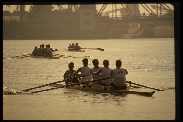 048047 Rowers (fours) A4 Photo Print