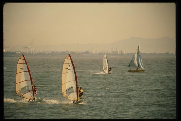 048051 Twin White Sails Windsurfers A4 Photo Print