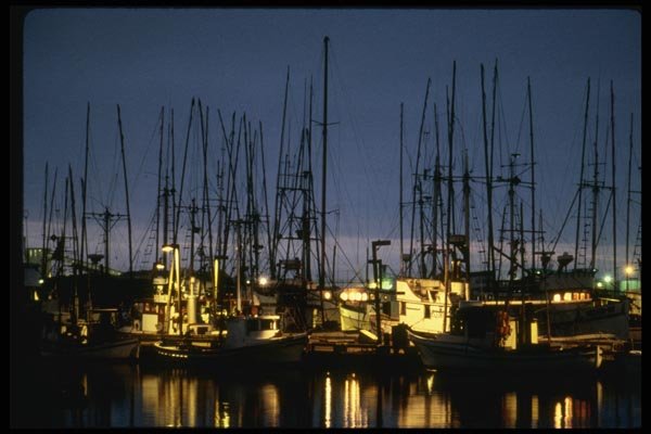 048061 Eureka Harbor At Night A4 Photo Print