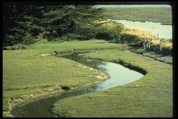 048073 S Curve Coastal Stream A4 Photo Print