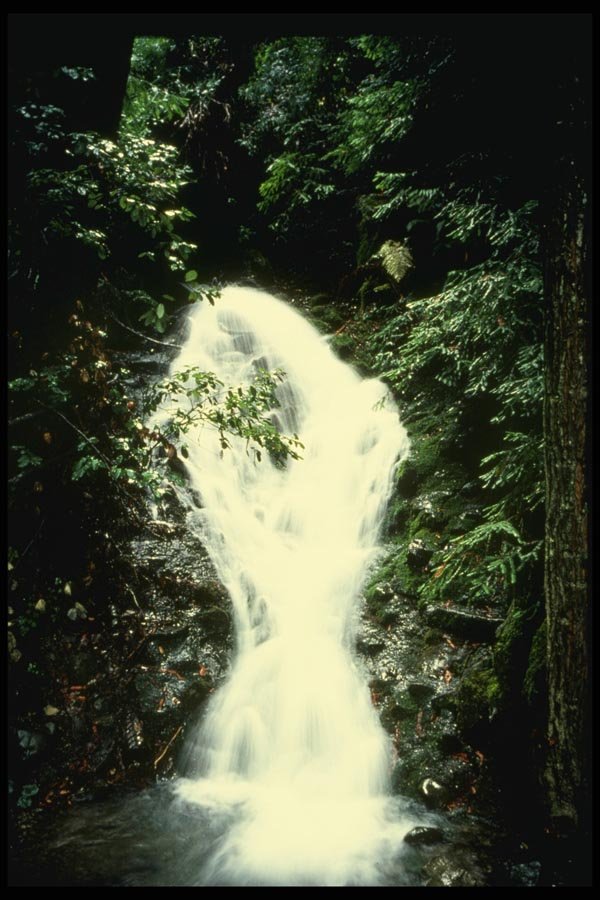 048075 Small Falls Humbolt A4 Photo Print
