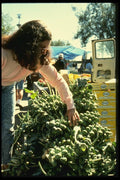 048078 Buying Brussel Sprouts A4 Photo Print