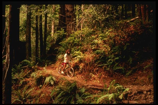 048093 Mountain Biker A4 Photo Print