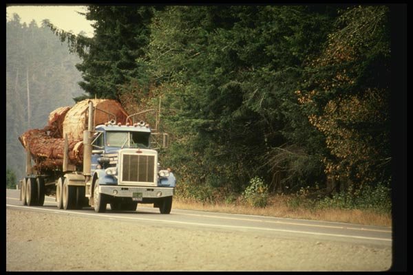 048095 Logging Truck On Highway 101 A4 Photo Print