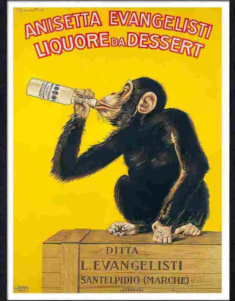 05 anisetta evangelisti liquore da dessert chimp monkey drinking 1 Advert A4 Photo Print