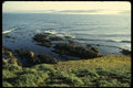 050002 Abalone Fishing At Tomales Point A4 Photo Print