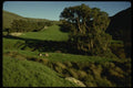 050004 Picknickers, Tennessee Cove A4 Photo Print
