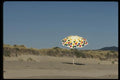 050008 Pt. Reyes Beach On A Rare Hot Day A4 Photo Print