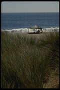050010 Beach Picnic Pt. Reyes National Seashore A4 Photo Print