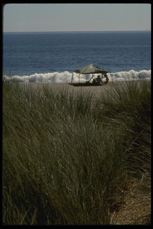 050010 Beach Picnic Pt. Reyes National Seashore A4 Photo Print