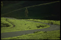 050011 Footpath Near Tennessee Cove A4 Photo Print