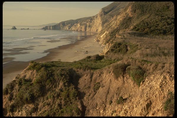 050015 Pt. Reyes National Seashore A4 Photo Print