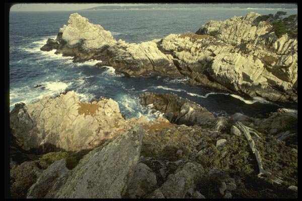 050030 Rocks Pt. Lobos State Preserve A4 Photo Print