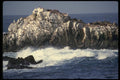 050031 Sea Lion Point Pt. Lobos State Reserve A4 Photo Print