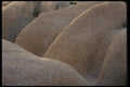 050040 Granite Boulders Joshua Tree National Monument A4 Photo Print