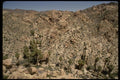 050042 Lost Palms Oasis A4 Photo Print