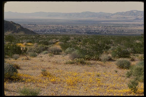 050051 Looking Toward Town Of Twenty nine Palms A4 Photo Print