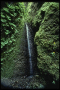 050064 Falls, Fern Canyon, Prairie Creek A4 Photo Print