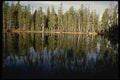 050087 Pond On Tioga Road Yosemite National Park A4 Photo Print
