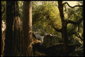 050088 Cedar, Pine, And Oak Trees, Yosemite Valley A4 Photo Print