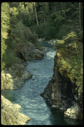 050090 Smith River National Park A4 Photo Print
