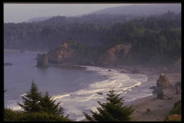 050095 Patrick's Point State Park A4 Photo Print