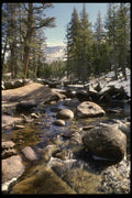 050096 Lyell Fork, Tuolumne River Yosemite National Park A4 Photo Print