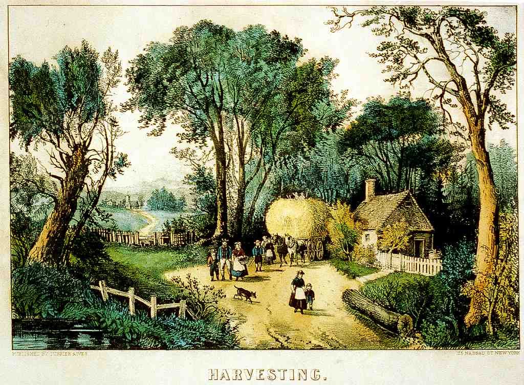 051 Harvesting Vintage A4 Photo Print