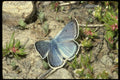 052003 Greenish Blue A4 Photo Print