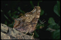 052056 Question Mark A4 Photo Print