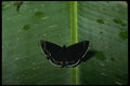052065 Metalmark A4 Photo Print
