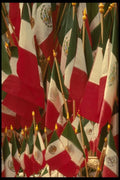 053001 Flags Independence Day A4 Photo Print