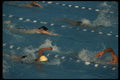 053023 Race Olympic Pool A4 Photo Print