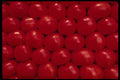 053028 Tomatoes A4 Photo Print