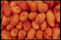 053029 Mangos A4 Photo Print