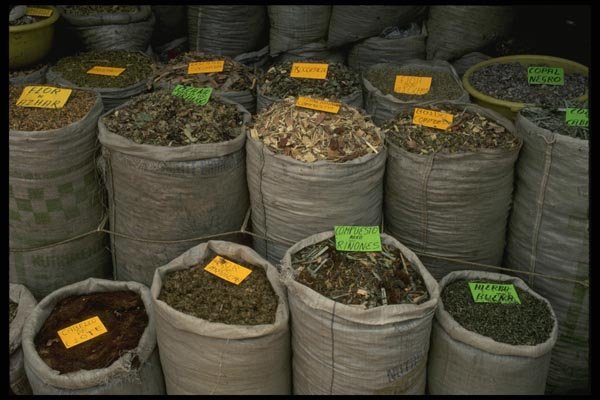 053031 Herbal Medicines A4 Photo Print