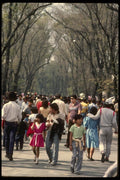 053037 People Walking In Chapultepec Park A4 Photo Print
