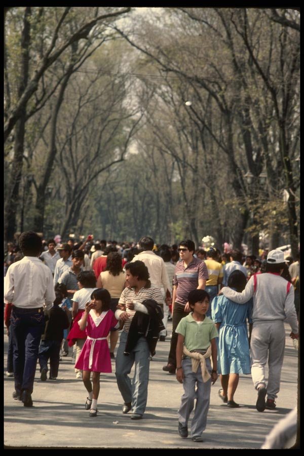 053037 People Walking In Chapultepec Park A4 Photo Print
