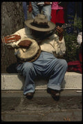 053043 Troubador A4 Photo Print