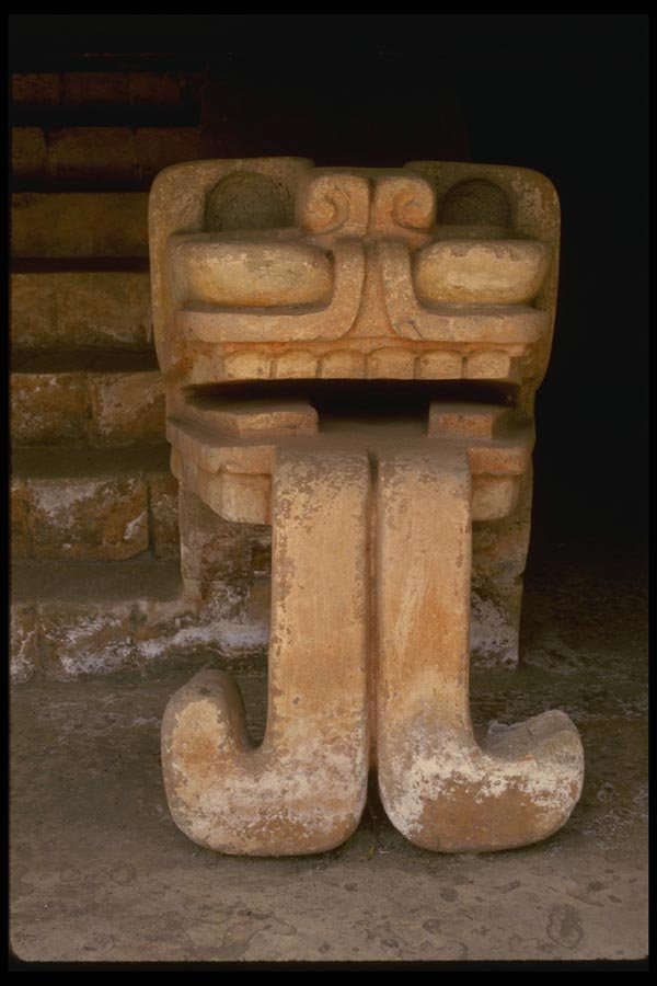 053096 Serpent Head A4 Photo Print