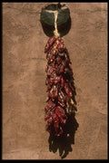 054036 Dried Peppers A4 Photo Print