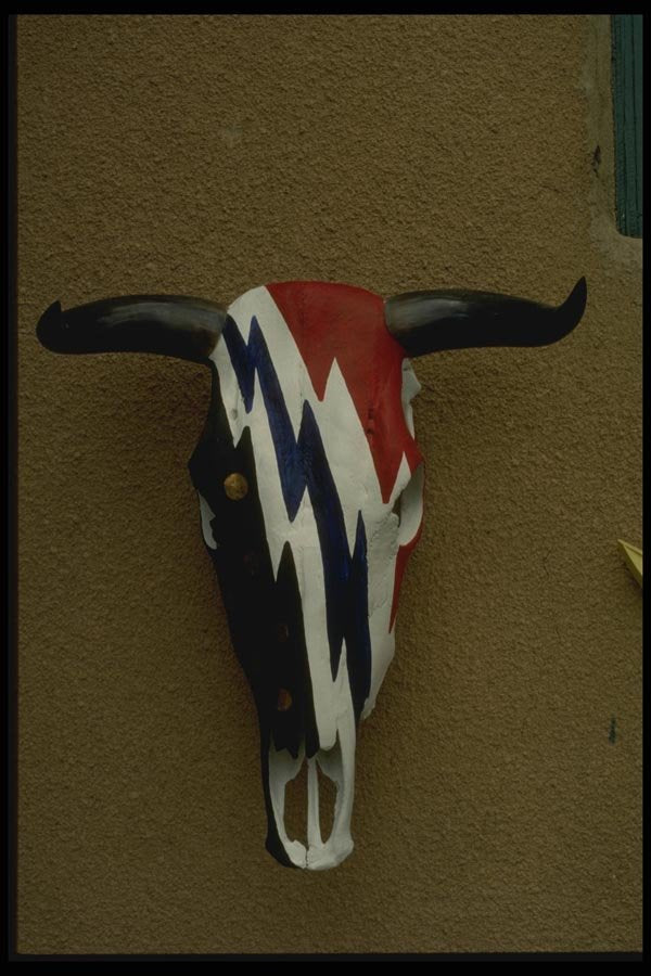 054039 Painted Cow Skull A4 Photo Print