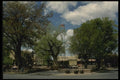054042 Street With Trees A4 Photo Print