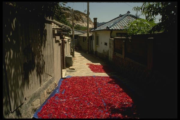 055016 Peppers Drying On Street A4 Photo Print
