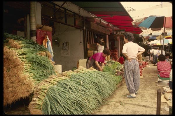 055025 Yugin Market A4 Photo Print